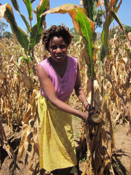 Kenyan woman showing maize crop 2017-09-02