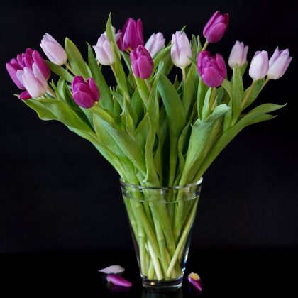vase of purple and lavender tulips